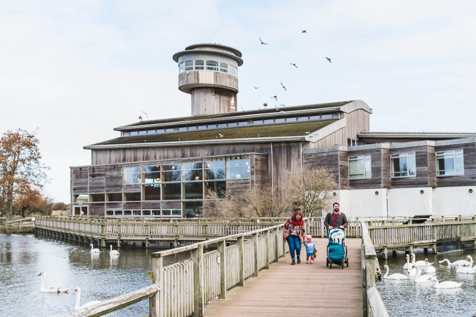 WWT Slimbridge named finalist in national VisitEngland awards